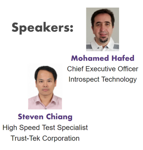 Introspect Technology and Trust-Tek corporation MIPI